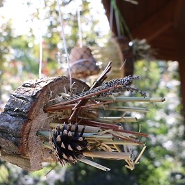 powiększ zdjęcie: Legniczanie budowali domki dla owadów