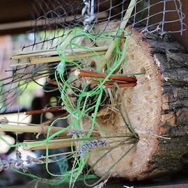 powiększ zdjęcie: Legniczanie budowali domki dla owadów