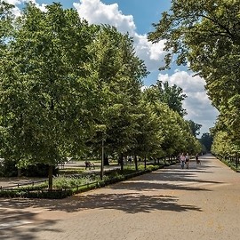 Jest już wybrana firma, która rozbuduje monitoring w parku