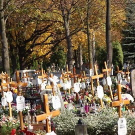 Wolontariusze uporządkują zapomniane mogiły na legnickiej nekropoli
