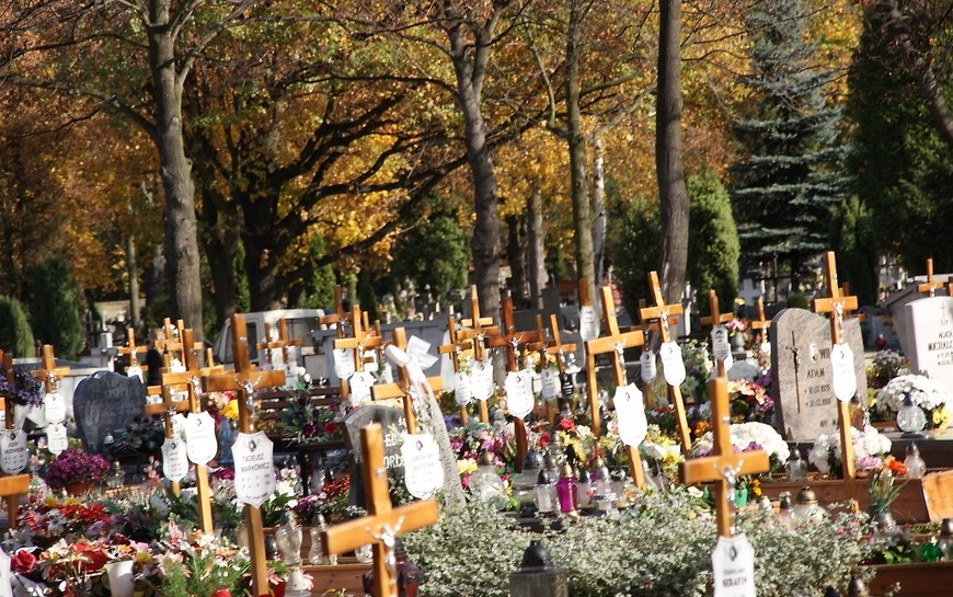 Wolontariusze uporządkują zapomniane mogiły na legnickiej nekropoli