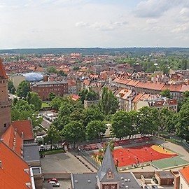 Ćwiczenia RENEGADE – SAREX. Mogą zawyć syreny