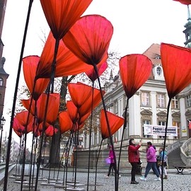 powiększ zdjęcie: Wspaniale uczciliśmy Narodowe Święto Niepodległości
