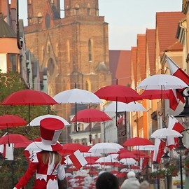 powiększ zdjęcie: Wspaniale uczciliśmy Narodowe Święto Niepodległości