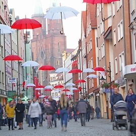 powiększ zdjęcie: Wspaniale uczciliśmy Narodowe Święto Niepodległości