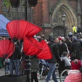 powiększ zdjęcie: Wspaniale uczciliśmy Narodowe Święto Niepodległości