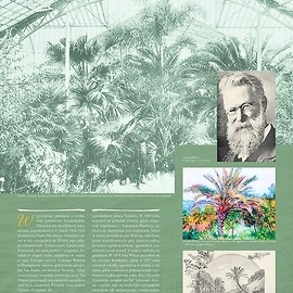 powiększ zdjęcie: Poznaj historię naszej palmiarni na urokliwych przedwojenmnych kartach i odwiedź ją