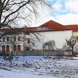 Powstaje Centrum Kultury, Nauki i Edukacji Witelona