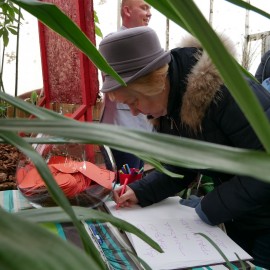 powiększ zdjęcie: Babcie i dziadkowie świętowali z wnukami w palmiarni