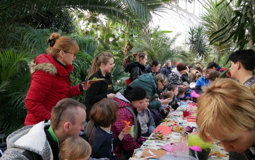 Babcie i dziadkowie świętowali z wnukami w palmiarni