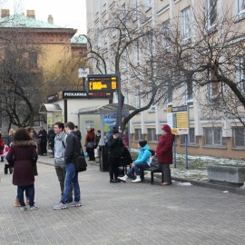 Firma Wójcik posprząta legnickie przystanki autobusowe