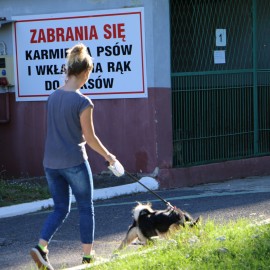 Nasze miasto dba o bezdomne zwierzęta. Zobacz ile wydano na ten cel
