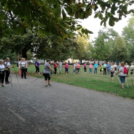 Chodzę z kijkami bo lubię nordic walking. Przyjdź więc w poniedziałek do parku
