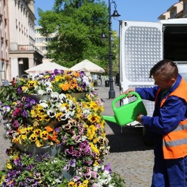 Miasto parków, ogrodów i kwitnących kwiatów