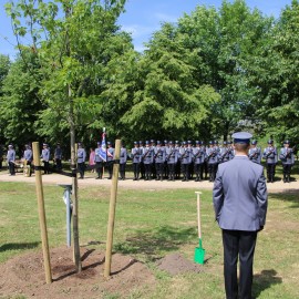 powiększ zdjęcie: Dęby Pamięci czczą pamięć pomordowanych policjantów