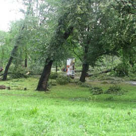 powiększ zdjęcie: 23 lipca 2009. Wspominamy dramat legnickiego parku i jego niezwykłe odrodzenie