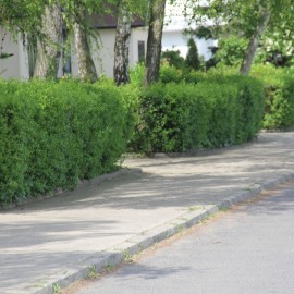 LBO 2019. Na ulicy Bydgoskiej powstaną kolejne parkingi