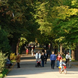 powiększ zdjęcie: W rocznicę huraganu odkryjemy na nowo legnicki park