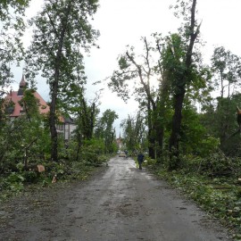 powiększ zdjęcie: W rocznicę huraganu odkryjemy na nowo legnicki park