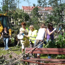 powiększ zdjęcie: Robimy film o pamiętnym huraganie i odbudowie parku. Powspominaj w nim