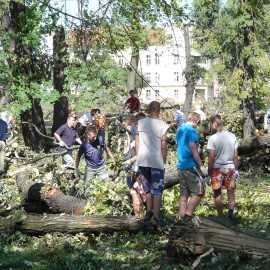 powiększ zdjęcie: Robimy film o pamiętnym huraganie i odbudowie parku. Powspominaj w nim