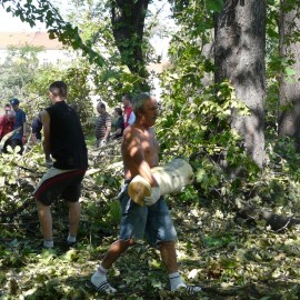 powiększ zdjęcie: Robimy film o pamiętnym huraganie i odbudowie parku. Powspominaj w nim