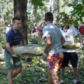powiększ zdjęcie: Robimy film o pamiętnym huraganie i odbudowie parku. Powspominaj w nim
