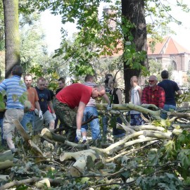 powiększ zdjęcie: Robimy film o pamiętnym huraganie i odbudowie parku. Powspominaj w nim