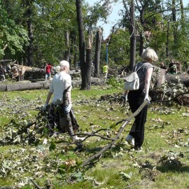 powiększ zdjęcie: Robimy film o pamiętnym huraganie i odbudowie parku. Powspominaj w nim