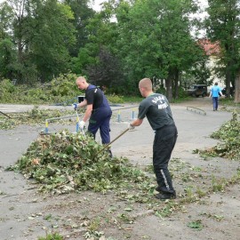 powiększ zdjęcie: Robimy film o pamiętnym huraganie i odbudowie parku. Powspominaj w nim