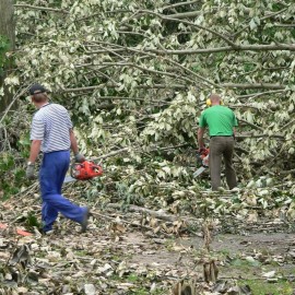 powiększ zdjęcie: Robimy film o pamiętnym huraganie i odbudowie parku. Powspominaj w nim
