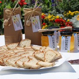 powiększ zdjęcie: Mamy pierwszy miód z pasieki miejskiej