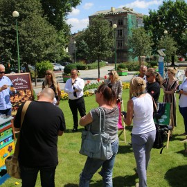 powiększ zdjęcie: Mamy pierwszy miód z pasieki miejskiej