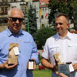 powiększ zdjęcie: Mamy pierwszy miód z pasieki miejskiej