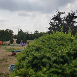 powiększ zdjęcie: LBO 2019. Najmłodsi legniczanie mają już piękny plac przy al. Rzeczypospolitej