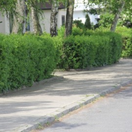 LBO 2019. Na ulicy Bydgoskiej powstaną kolejne parkingi