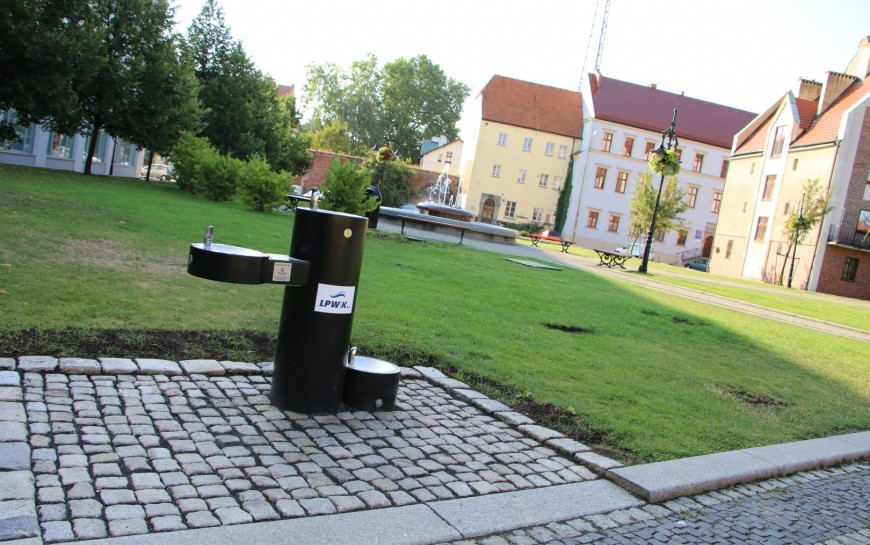 Napij się wody ze swoim czworonożnym przyjacielem z jednego poidełka