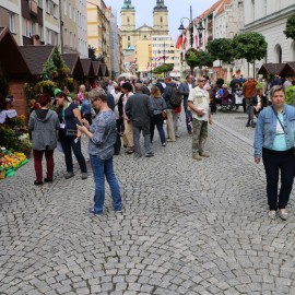 Niedziela z działkowcami i pszczelarzami. Przyjdź na Rynek na ich święto