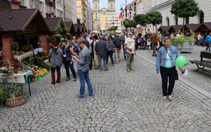 Niedziela z działkowcami i pszczelarzami. Przyjdź na Rynek na ich święto