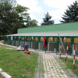 LBO 2019. W legnickim schronisku pieski będą miały lepsze życie
