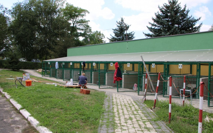 LBO 2019. W legnickim schronisku pieski będą miały lepsze życie