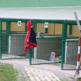 powiększ zdjęcie: LBO 2019. W legnickim schronisku pieski będą miały lepsze życie