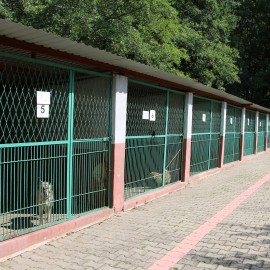 powiększ zdjęcie: LBO 2019. W legnickim schronisku pieski będą miały lepsze życie