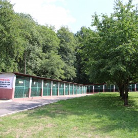 powiększ zdjęcie: LBO 2019. W legnickim schronisku pieski będą miały lepsze życie