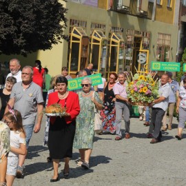 powiększ zdjęcie: Barwne i smakowite święto legnickich działkowców i pszczelarzy