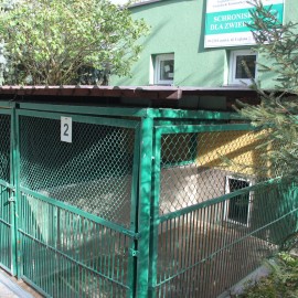 powiększ zdjęcie: LBO 2019. W legnickim schronisku pieski będą miały lepsze życie