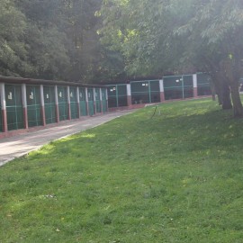 powiększ zdjęcie: LBO 2019. W legnickim schronisku pieski będą miały lepsze życie