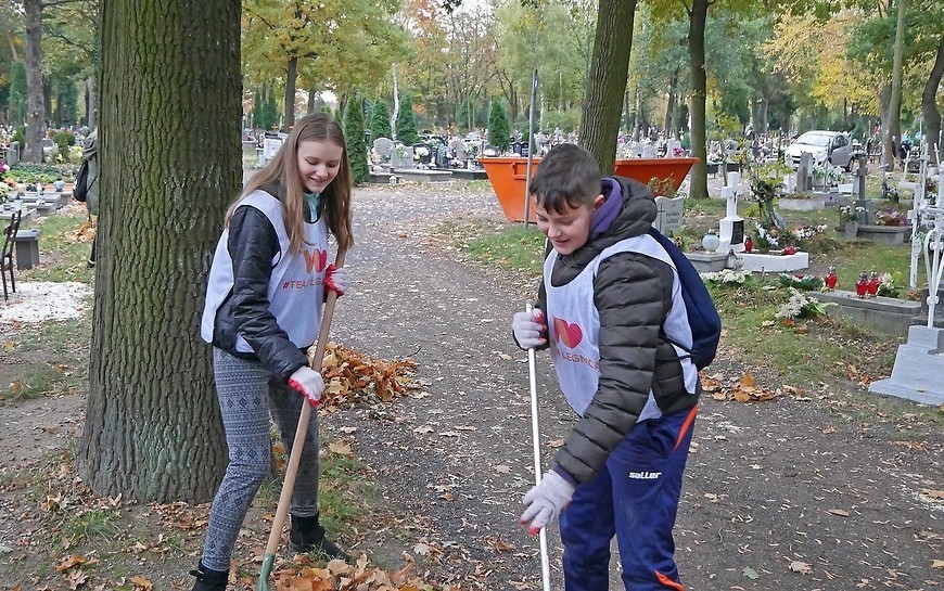 Wolontariusze uporządkują zapomniane mogiły na legnickiej nekropoli