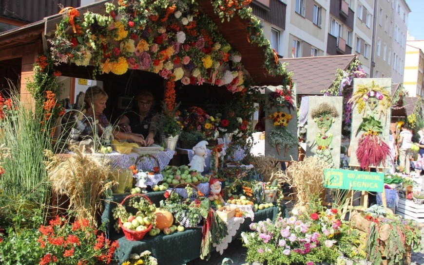 Legnica przyjazna środowisku