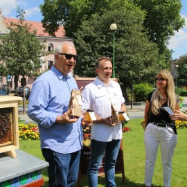 Legnica przyjazna pszczołom. Wyróżniono nas za sadzenie roślin miododajnych